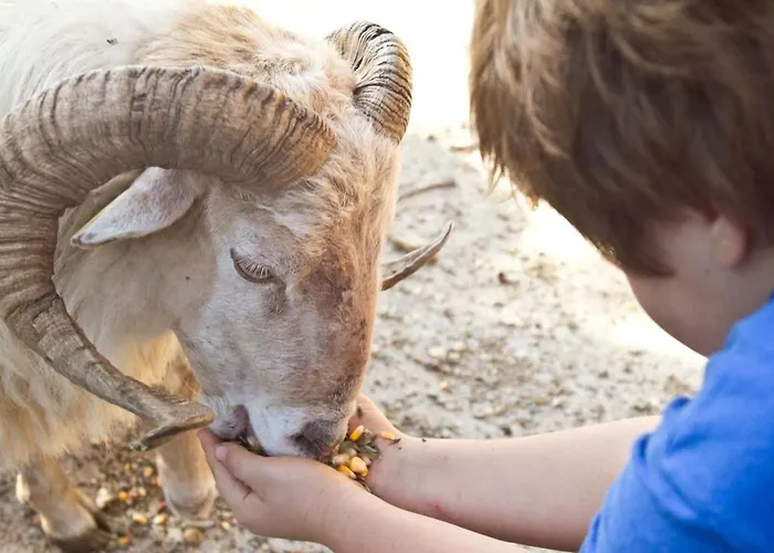 Casa Rural Momotegi Hotel *