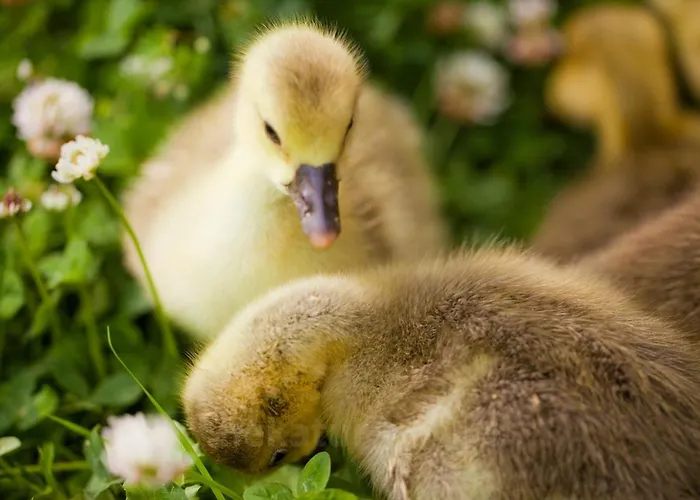 Casa Rural Momotegi Hotel *