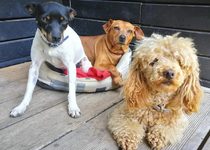 Casa Rural Momotegi Hotel Oiartzun