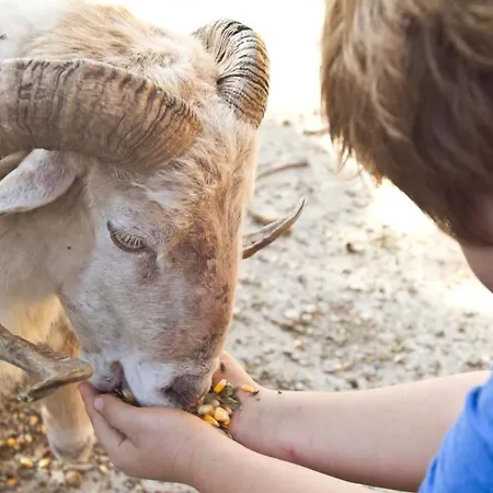 Casa Rural Momotegi 호텔 *