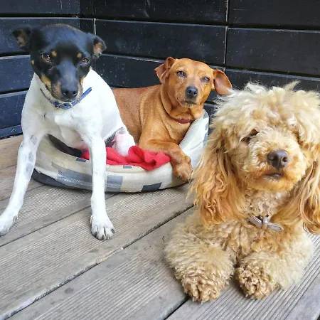 Casa Rural Momotegi 호텔 오이아츠준